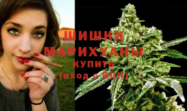 PSILOCYBIN Баксан