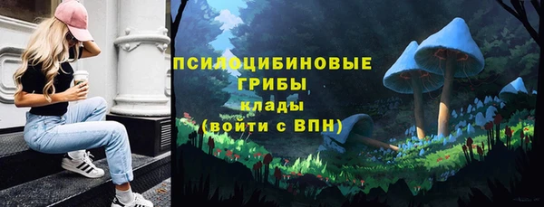 PSILOCYBIN Баксан
